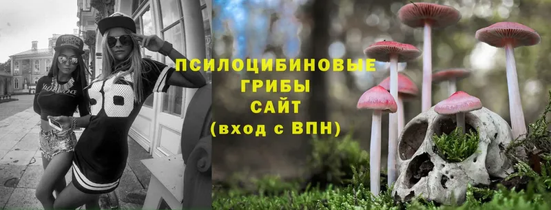 Псилоцибиновые грибы Magic Shrooms  Исилькуль 